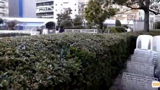 日韩催眠奴隶学园成人XX🔞中文字幕一区二区三区🔞电视中文字幕一区二区三区完整版